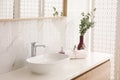 Countertop with sink, toiletries and plant in bathroom