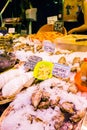 Countertop with various fresh seafood in Boqueria market. Barcelona Royalty Free Stock Photo