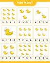 Counting game, how many Rubber Duck. Educational children game, printable worksheet, vector illustration