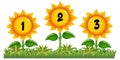 Counting number with sunflower theme Royalty Free Stock Photo