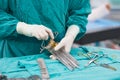 Counting surgical tools after finish operation Royalty Free Stock Photo