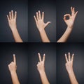 Counting woman hands (0 to 5)