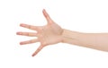 Counting woman hands five. Royalty Free Stock Photo