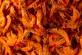 Countless fresh shrimp in vibrant colors. Proteins of animal origin