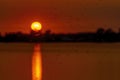 Countless mosquitoes dance above the water of Lake Zoetermeerse Plas during a beautiful sunset