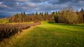 Countriside landscape in the evening light with clouds in the sk Royalty Free Stock Photo