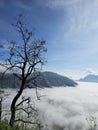 Country above the clouds on a sunny morning Royalty Free Stock Photo
