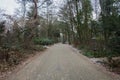 Country asphalt road and green trees nature landscape, emoty in the forest Royalty Free Stock Photo