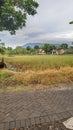 Country atmosphere after rain Royalty Free Stock Photo