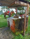 Country Atmosphere: Rustic Charm in a Farm Laundry Room