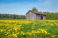 Country Barn