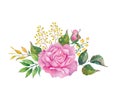 Country bouquet of pink rose on the white background. Watercolor with summer garden flowers.