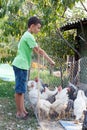 Country boy feeding chickens