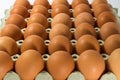 Country brown eggs Royalty Free Stock Photo