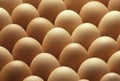 Country brown eggs lined up Royalty Free Stock Photo