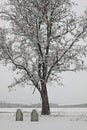 Country cemetery with snow