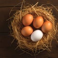 Country charm Chicken eggs arranged in a rustic wooden nest Royalty Free Stock Photo
