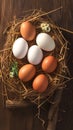 Country charm Chicken eggs arranged in a rustic wooden nest Royalty Free Stock Photo