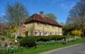 Country cottage properties and spring flowers