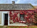 Country cottage on small lane, County Offaly, Ireland Royalty Free Stock Photo