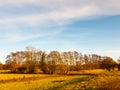 Country day landscape field trees grass autumn winter Royalty Free Stock Photo