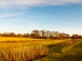 Country day landscape field trees grass autumn winter Royalty Free Stock Photo