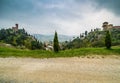 Country dirt road bordered by cypress trees