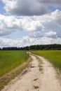 Country dirt road in the field Royalty Free Stock Photo