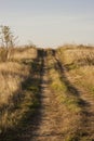 Country dirt road going over the hill Royalty Free Stock Photo