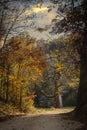 Country dirt road at golden hour in authum with sun shining on yellow leaves and old shed in distance