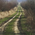 Country dirt road in northern Poland