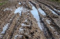 Country dirt road with paddles Royalty Free Stock Photo