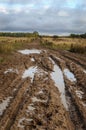 Country dirt road after rain Royalty Free Stock Photo