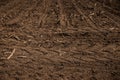 Unworked land, field with wheel tracks in spring. Dirt texture. Country dirt field texture.