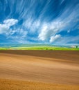 Country dry plowed earth agricultural green farmland on blue sky