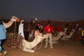 Camel ride at desert safari Dubai Royalty Free Stock Photo