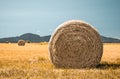 Country field with bales of hay