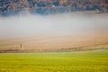 Country field fog landscape on autumn day Royalty Free Stock Photo