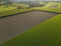 Country fields on a sunny evening in summer