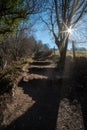 Country Footpath and Steps in the North Yorkshire Moors, England