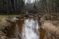 country forest river in early spring with no vegetation on the shores Royalty Free Stock Photo