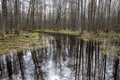 country forest river in early spring with no vegetation on the shores Royalty Free Stock Photo