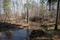 country forest river in early spring with no vegetation on the shores Royalty Free Stock Photo