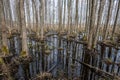 country forest river in early spring with no vegetation on the shores Royalty Free Stock Photo