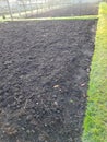 Garden vegetable bed with fresh compost.