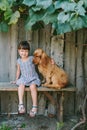 Country girl sitting on a bench with her dog under vine. wooden Royalty Free Stock Photo