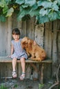 Country girl sitting on a bench with her dog under vine. wooden Royalty Free Stock Photo