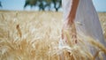 Country girl walks wheat field sunshine closeup. White dress woman touching rye Royalty Free Stock Photo