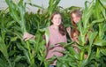 Country girls in corn field Royalty Free Stock Photo