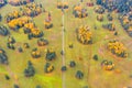 Country grass in the middle of an autumn forest, edges of trees, fields and meadows in the autumn season, view from a height Royalty Free Stock Photo